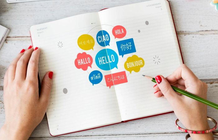 What Are The Pro Tips Professional Translation Services Provider Follow